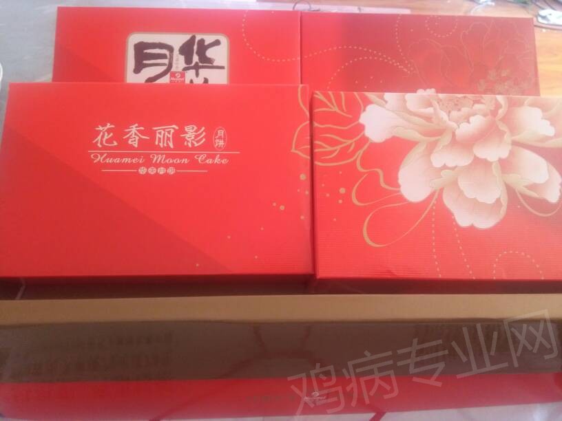111507li5zhb3ybi34x9is.jpg