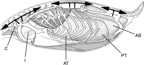 qw19.jpg