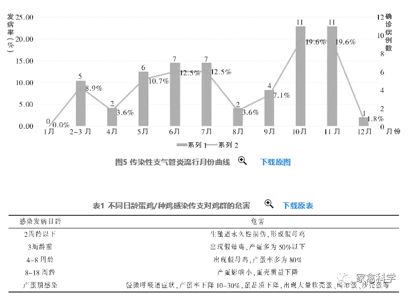 qw10.jpg