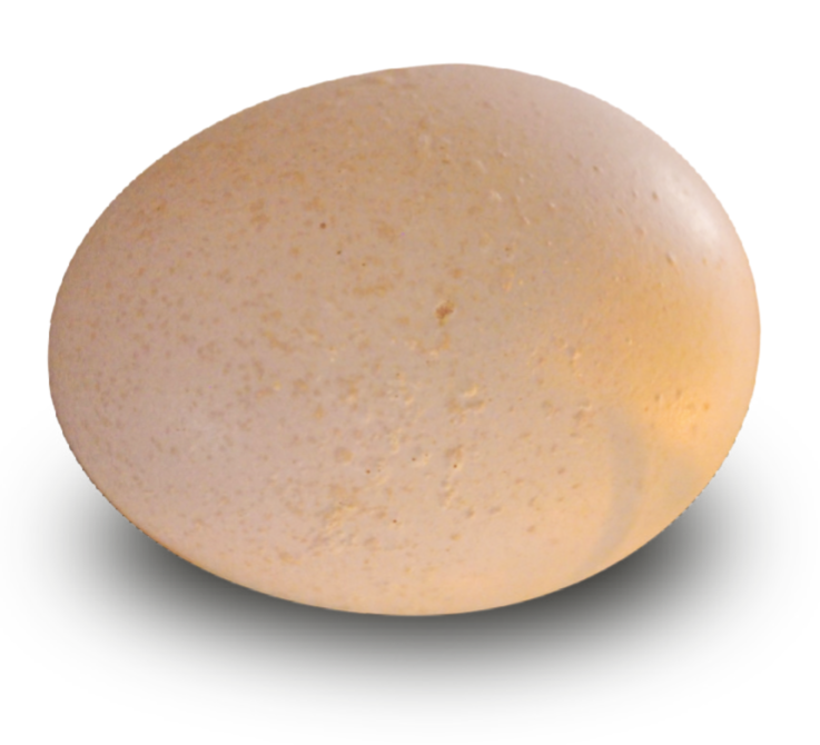 qw1.jpg