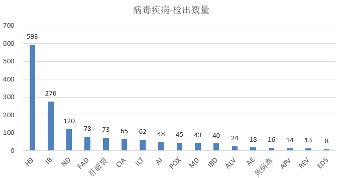 qw5.jpg