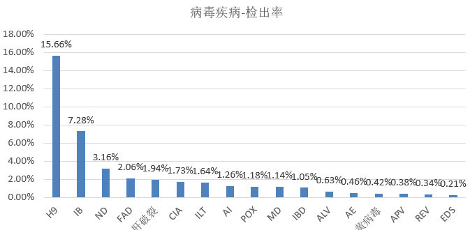 qw6.jpg