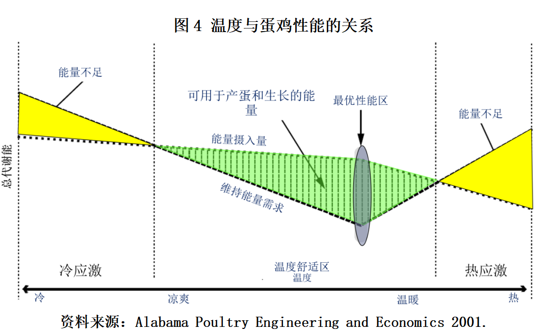 qw6.jpg