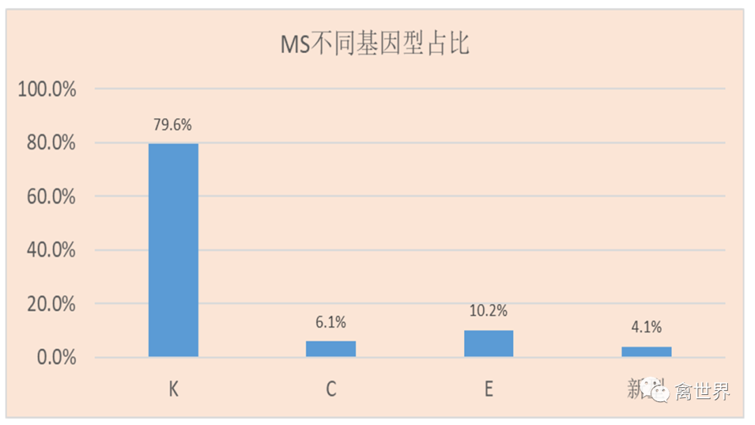 qw13.jpg