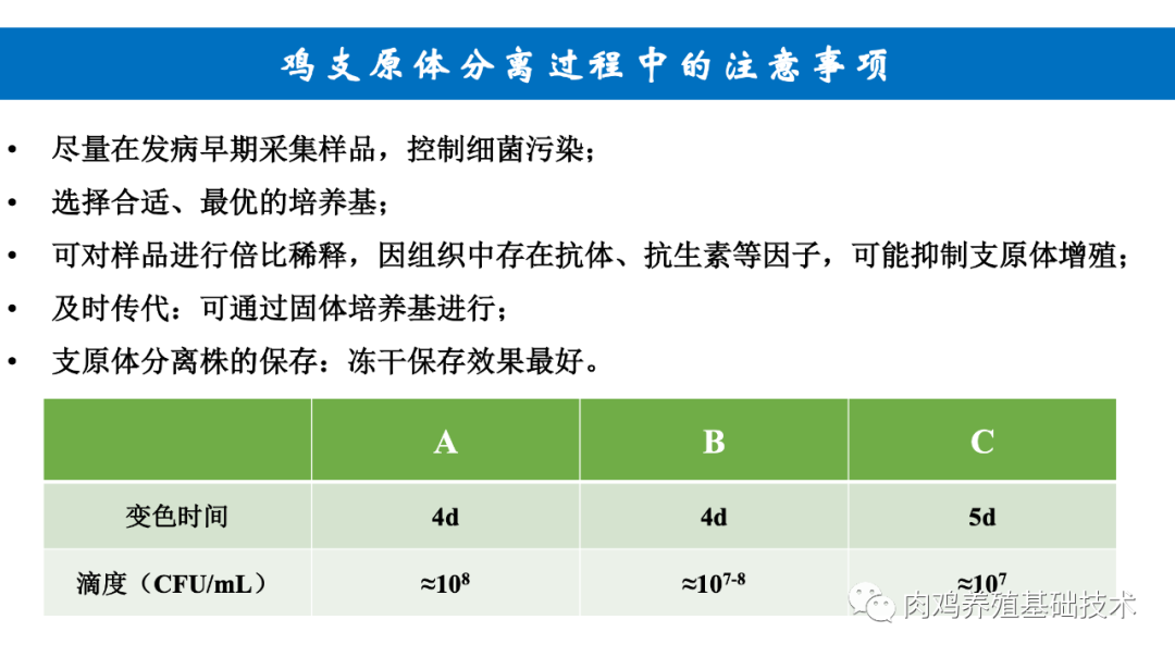 qw13.jpg