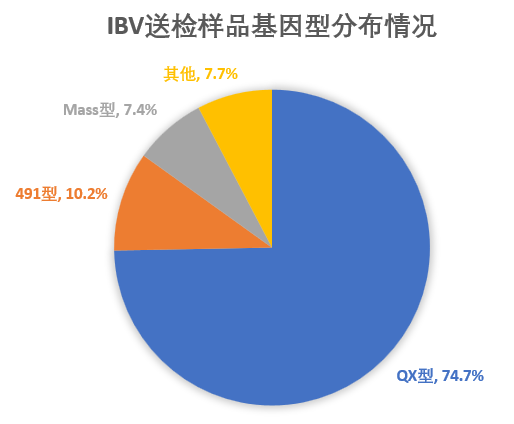 qw6.jpg