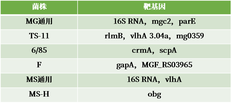 qw20.jpg