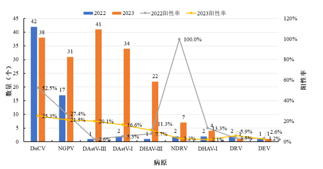 qw15.jpg