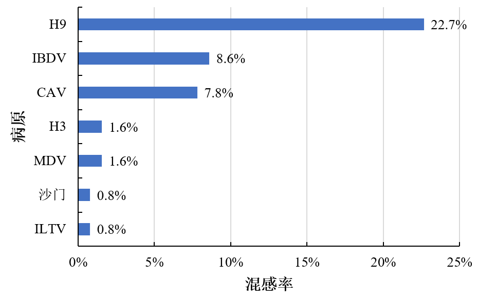 qw28.jpg