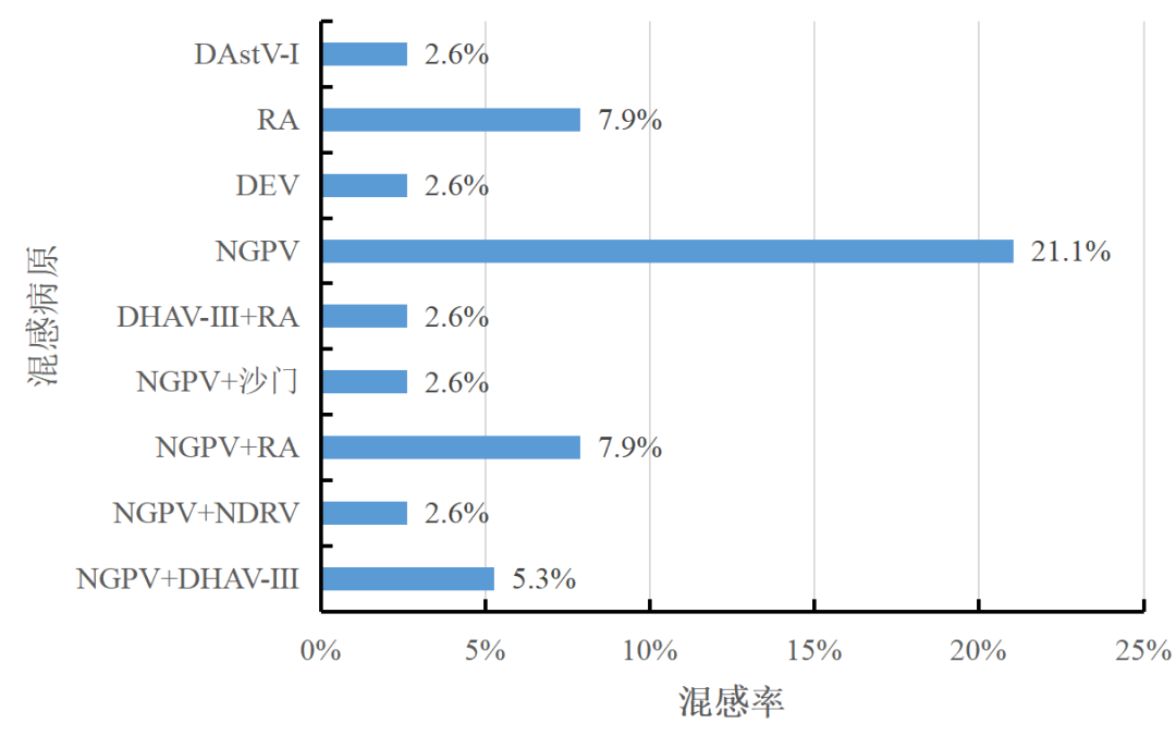 qw42.jpg