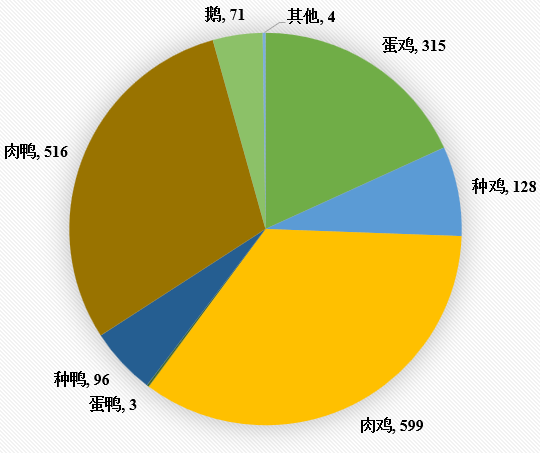 qw5.jpg