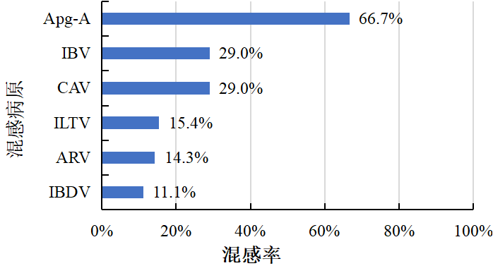 qw20.jpg