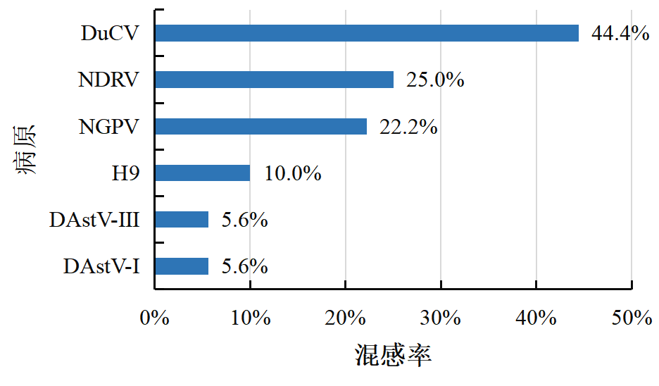 qw33.jpg