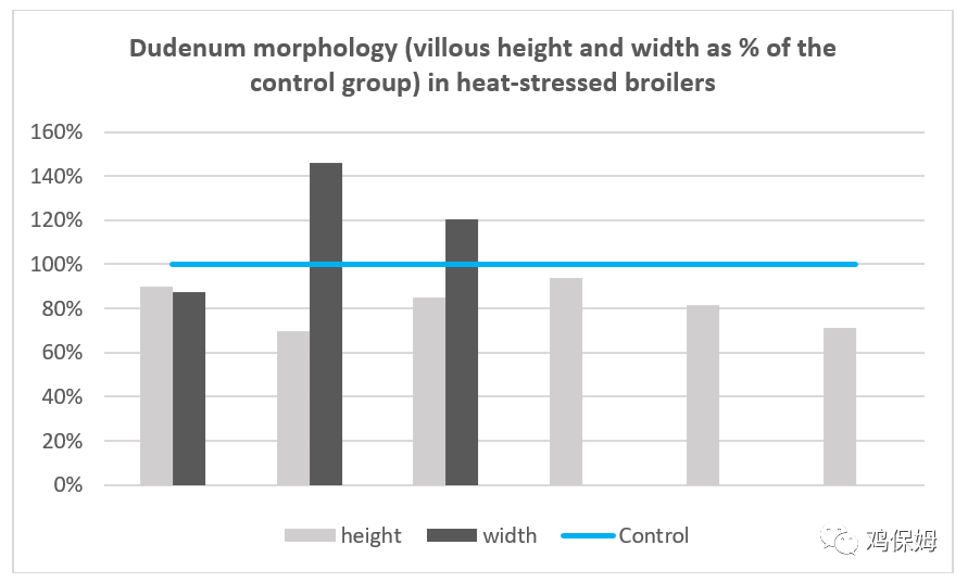 qw4.jpg