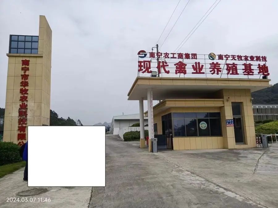 qw4.jpg