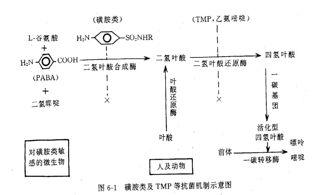 qw13.jpg