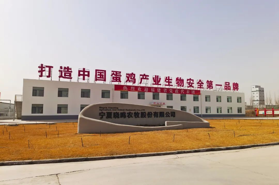qw5.jpg