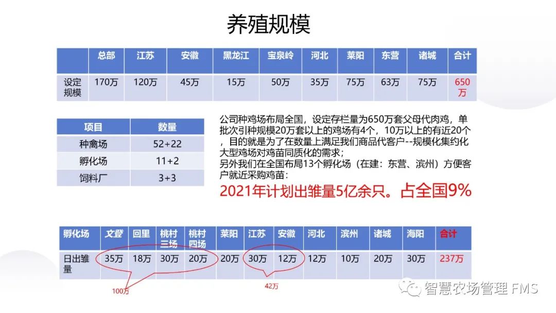 qw26.jpg