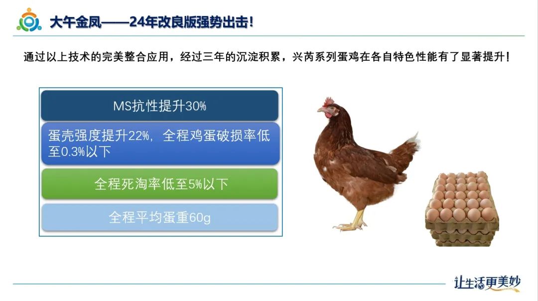 qw28.jpg