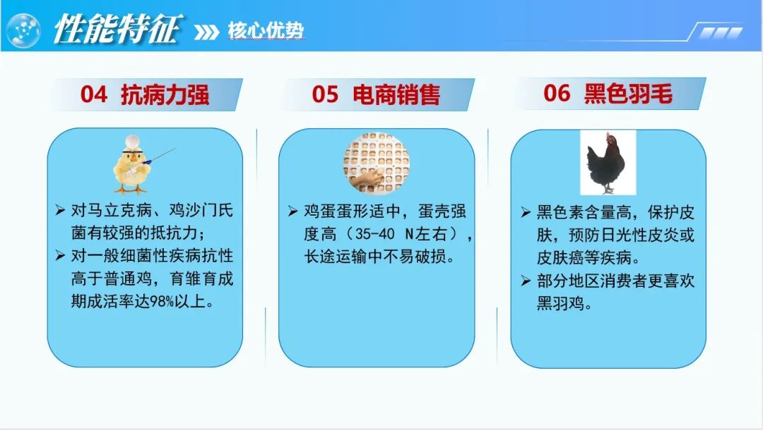 qw43.jpg