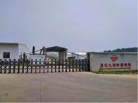 qw7.jpg