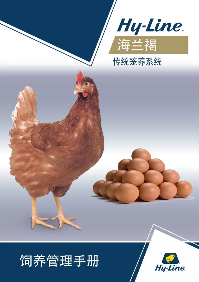 qw2.jpg