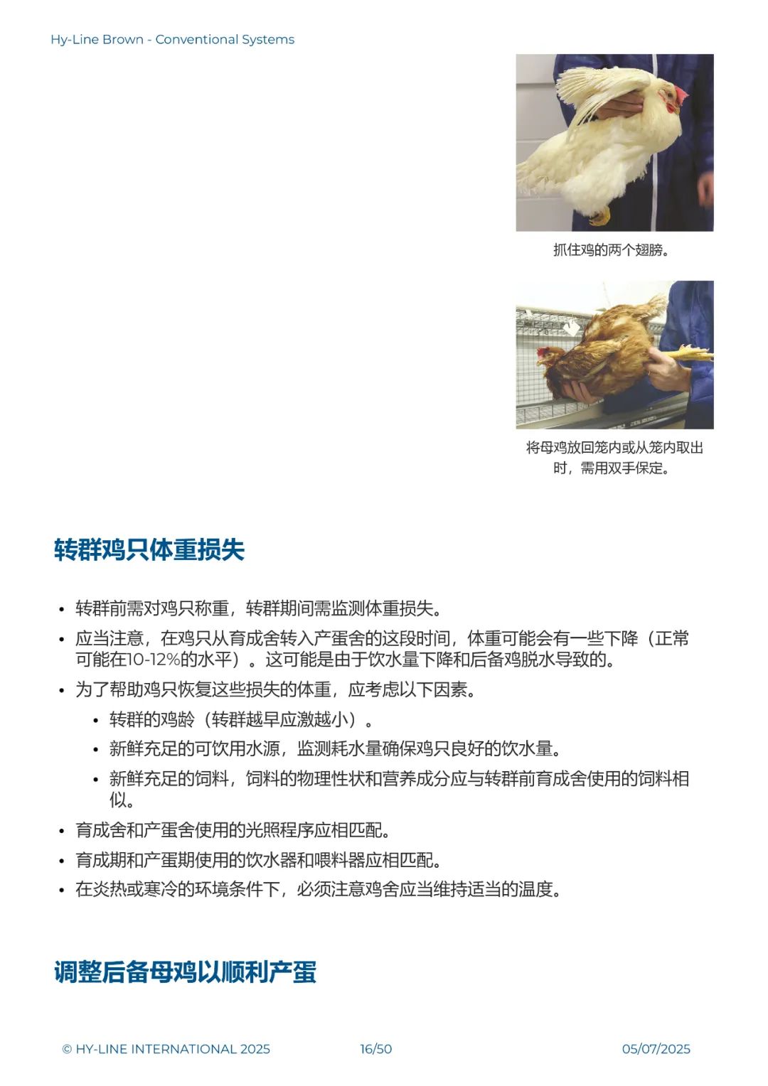qw18.jpg