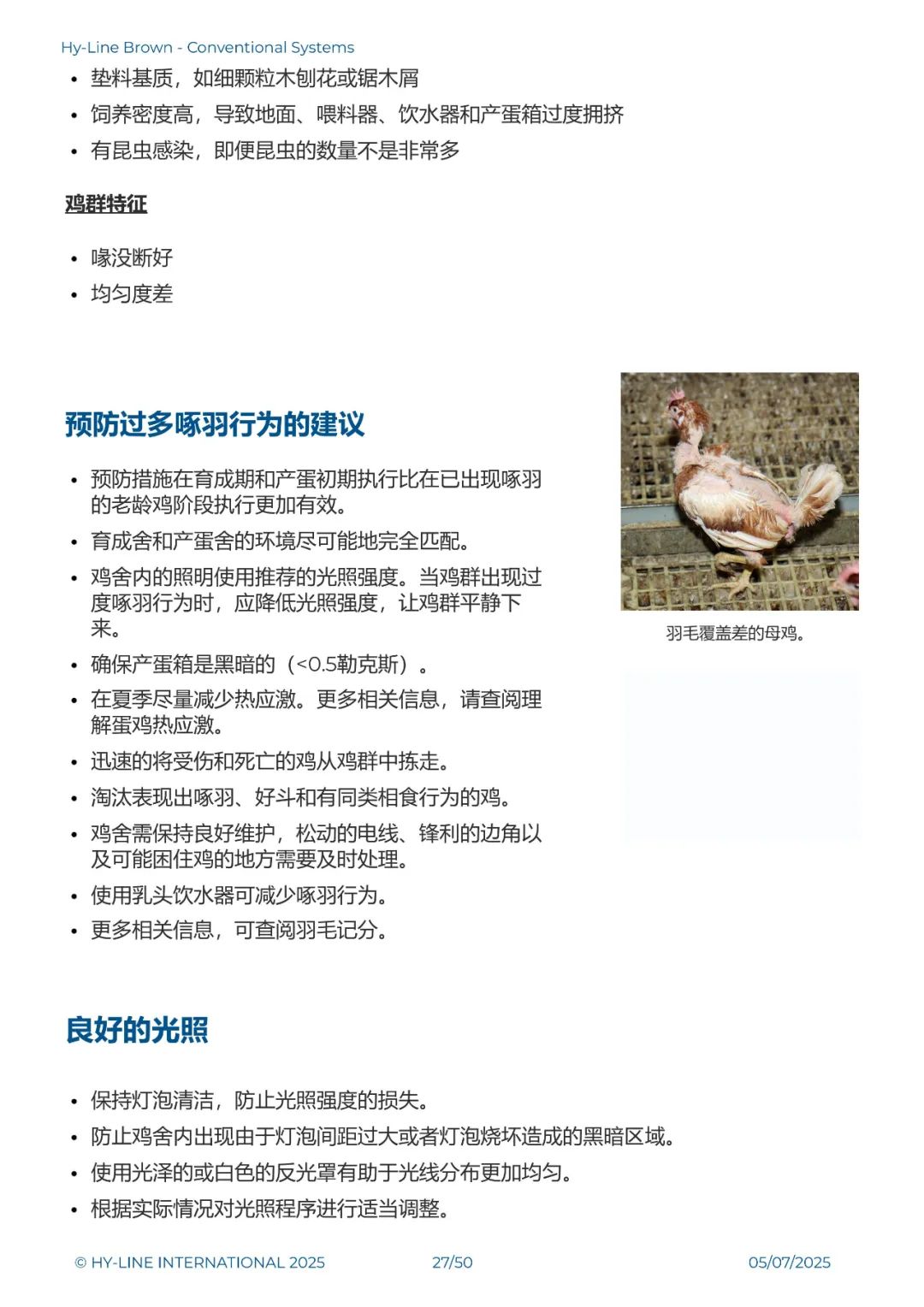qw29.jpg