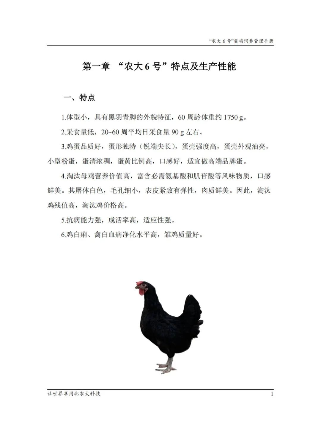 qw5.jpg
