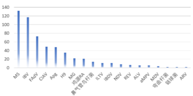 qw10.jpg