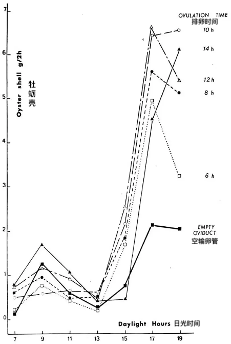 qw4.jpg