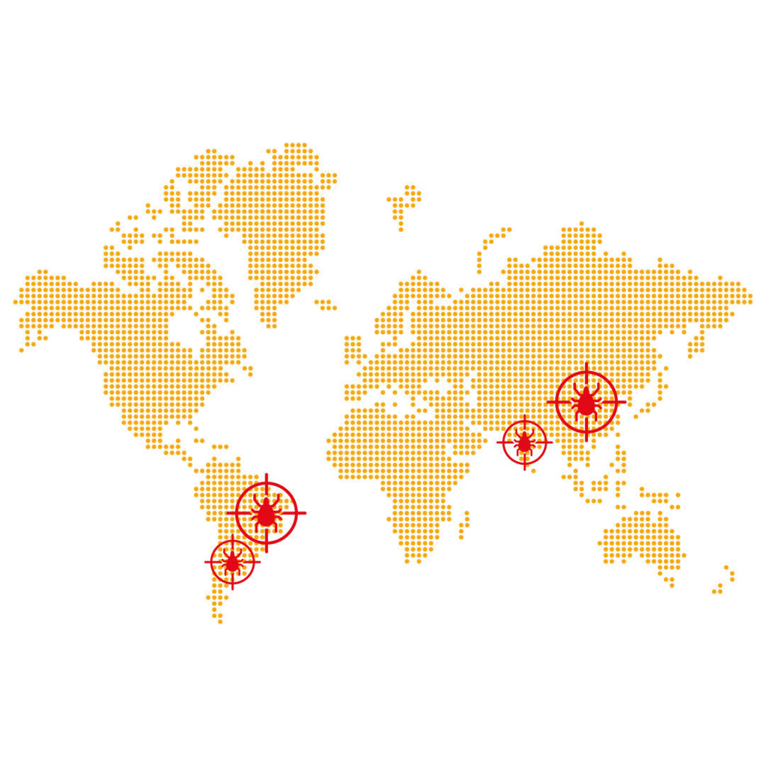 qw4.jpg