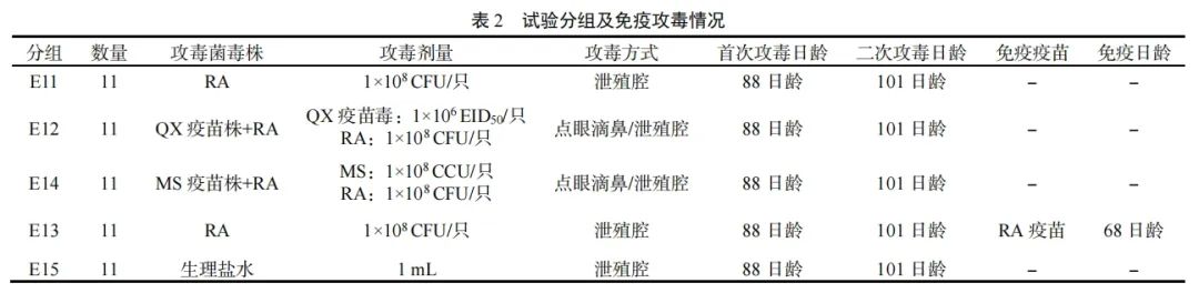 qw21.jpg