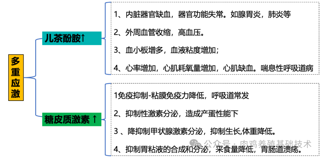 qw6.jpg