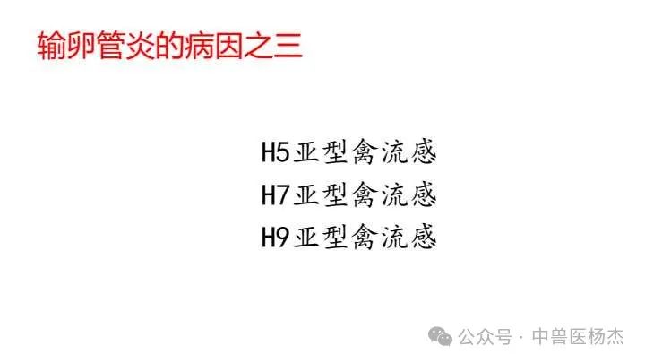 qw25.jpg