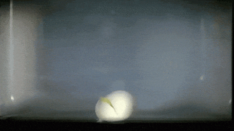 20.gif