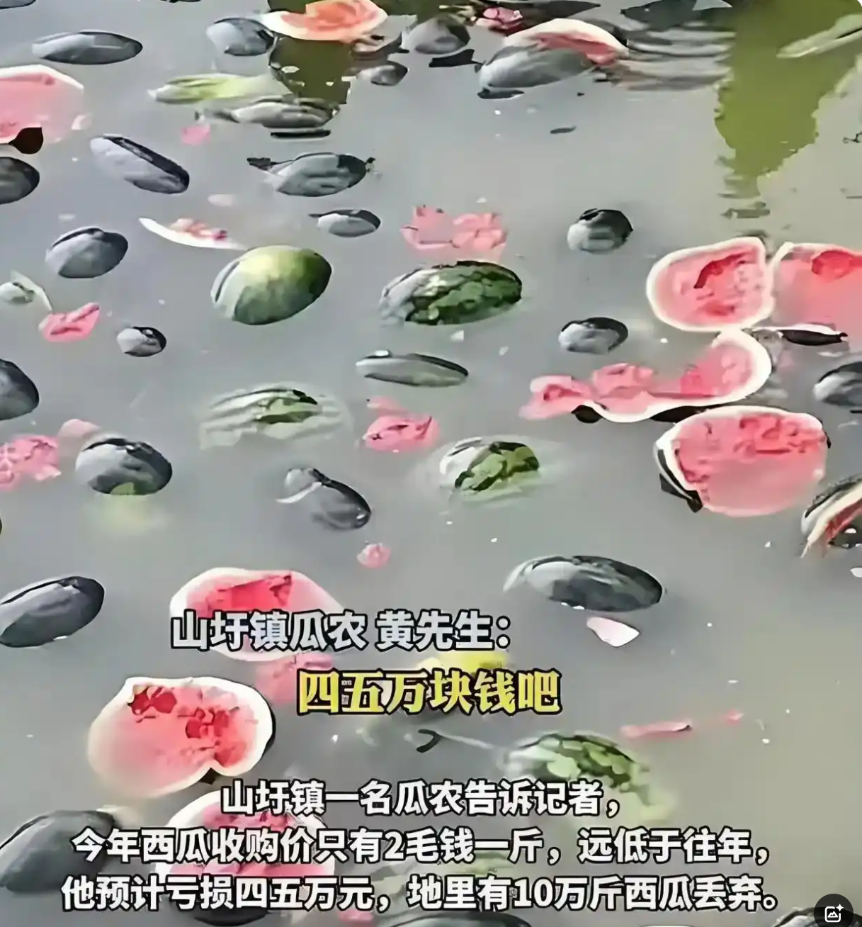 13.png