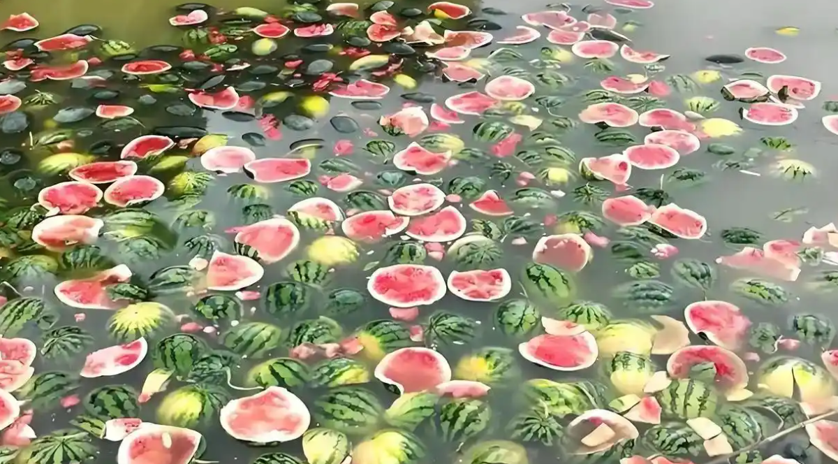 15.png