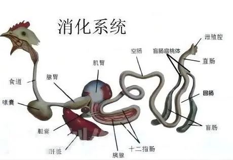 qw1.jpg