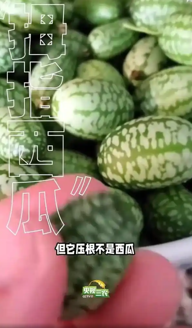 10.png