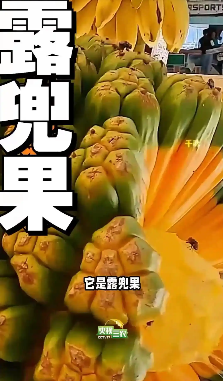 13.png