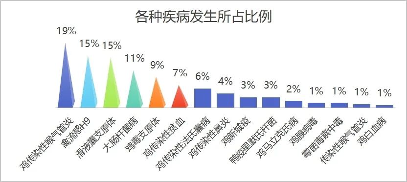 qw6.jpg