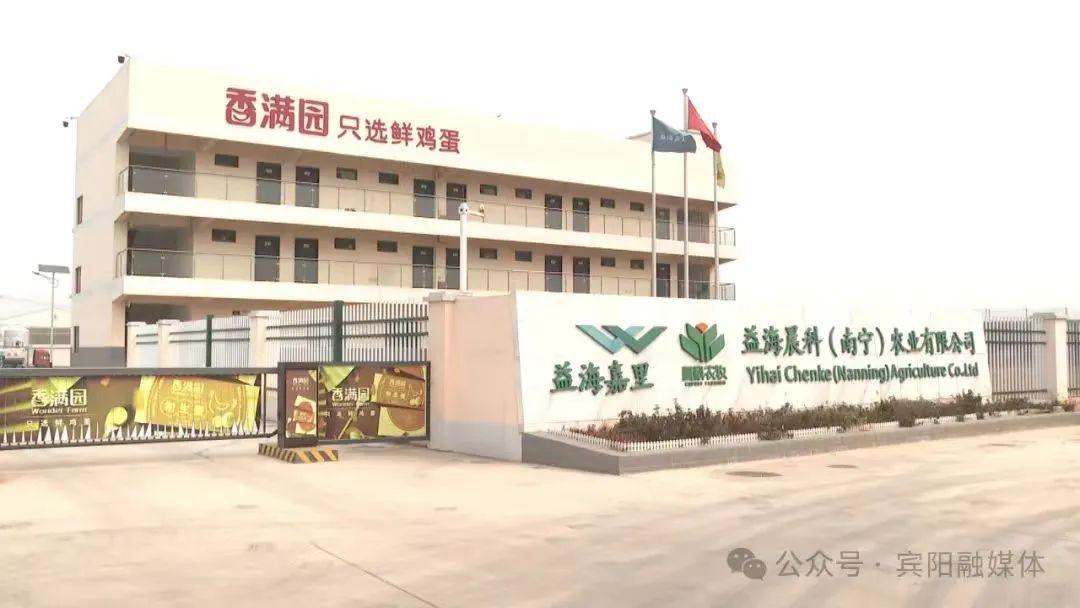 qw6.jpg