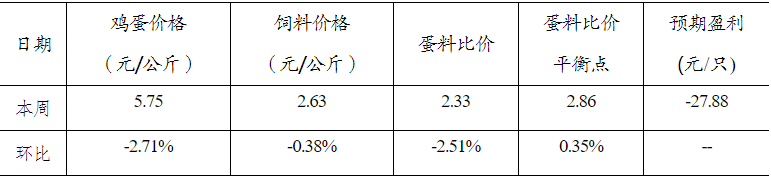 qw5.jpg