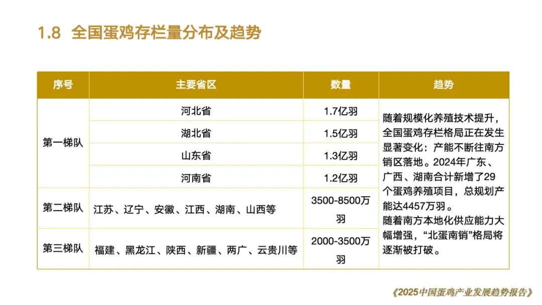 qw28.jpg