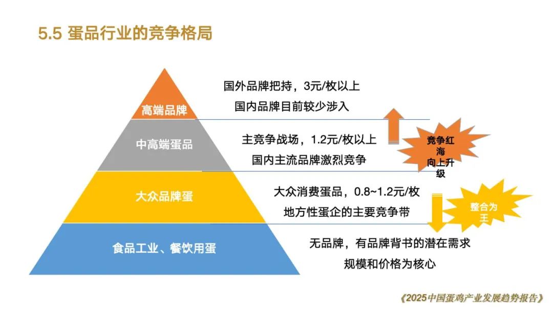 qw78.jpg