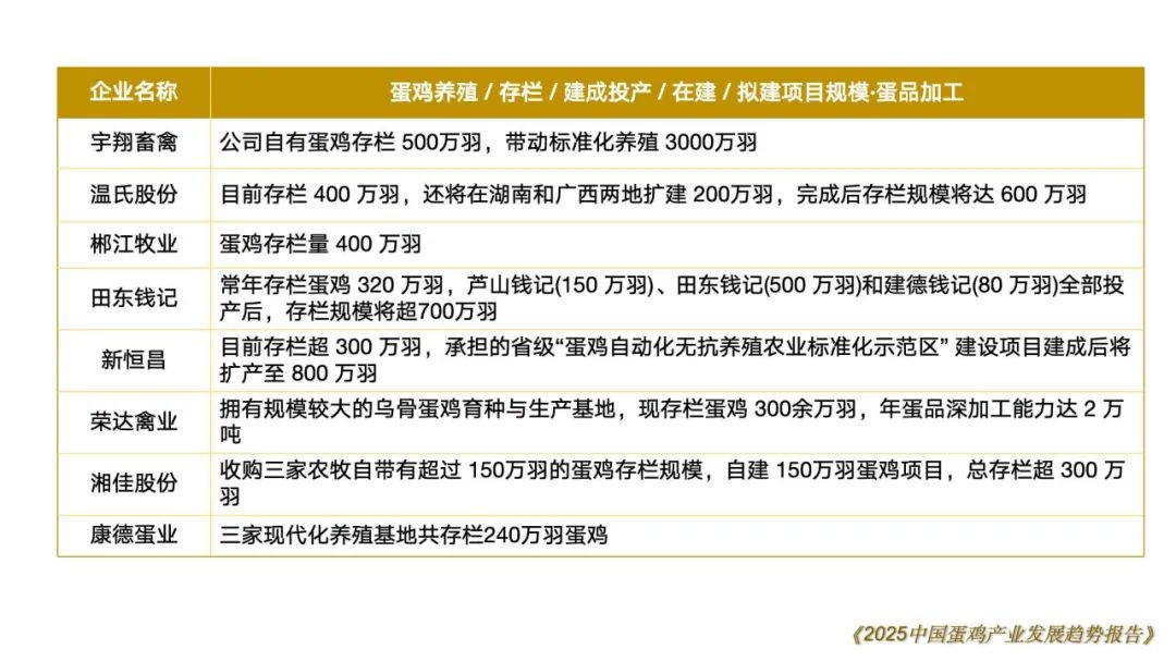 qw83.jpg