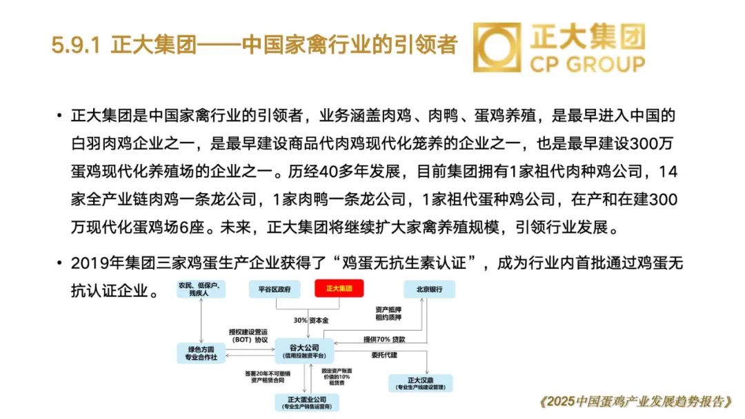 qw85.jpg