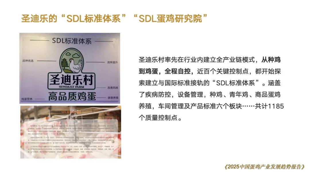 qw93.jpg