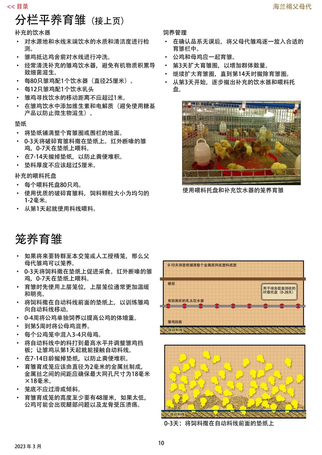 qw11.jpg